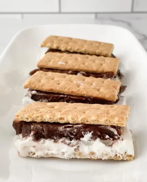 WW Frozen S’mores