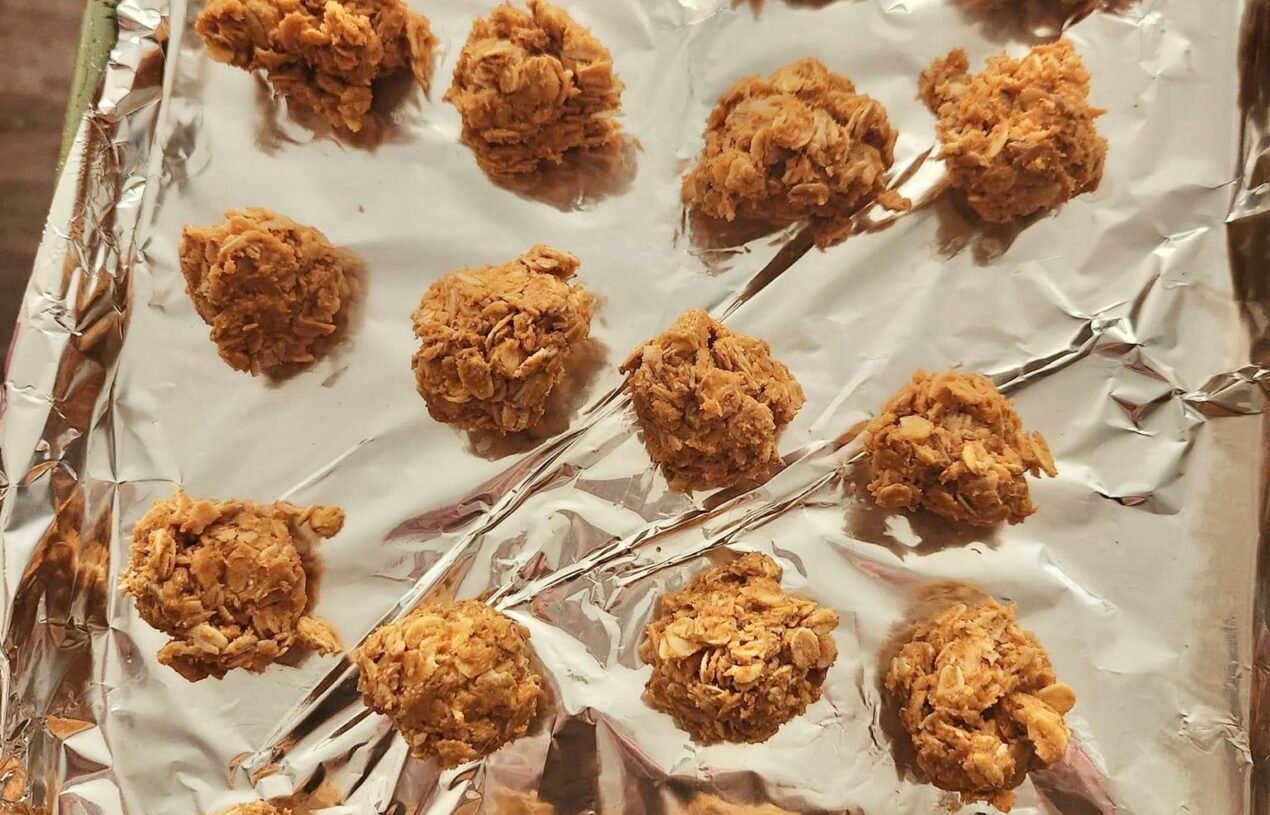 One Point Oatmeal Peanut Butter Balls