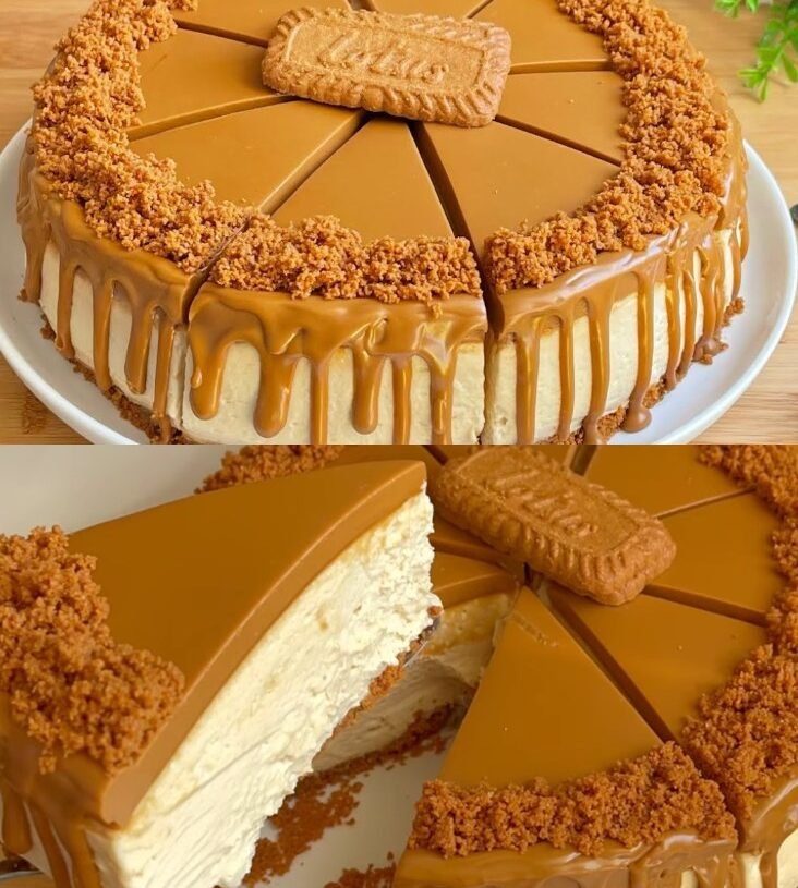 Easy No-Bake Biscoff Cheesecake (Low-Point Version)