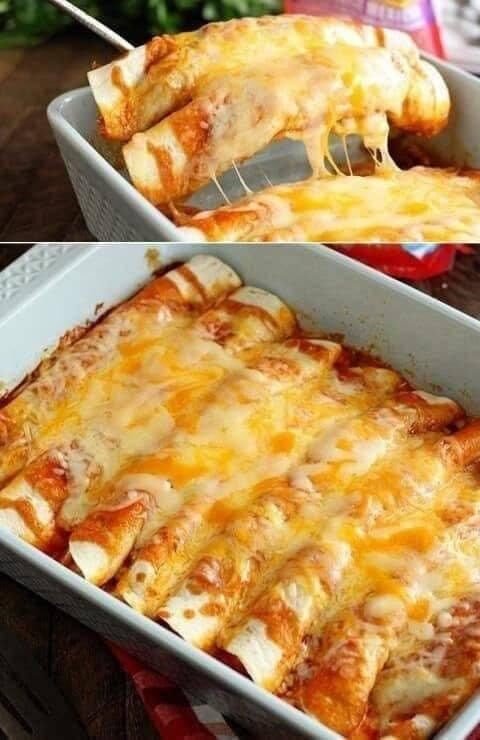 Chicken enchiladas with creamy jalapeno cheese