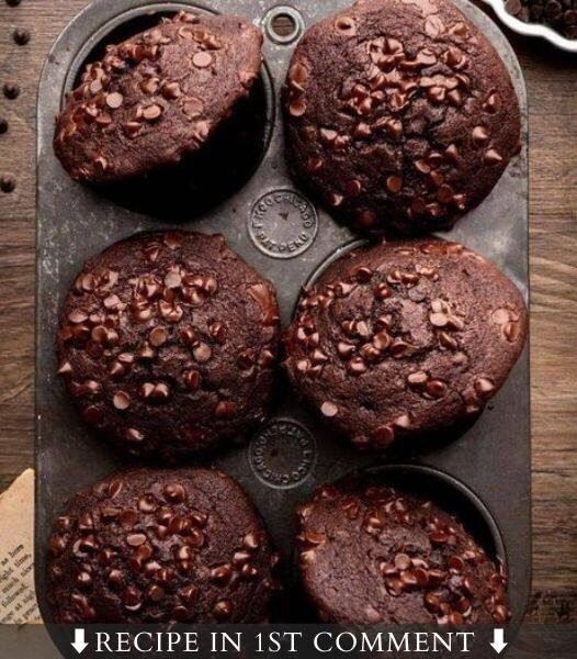 Low Carb Double Chocolate Muffins