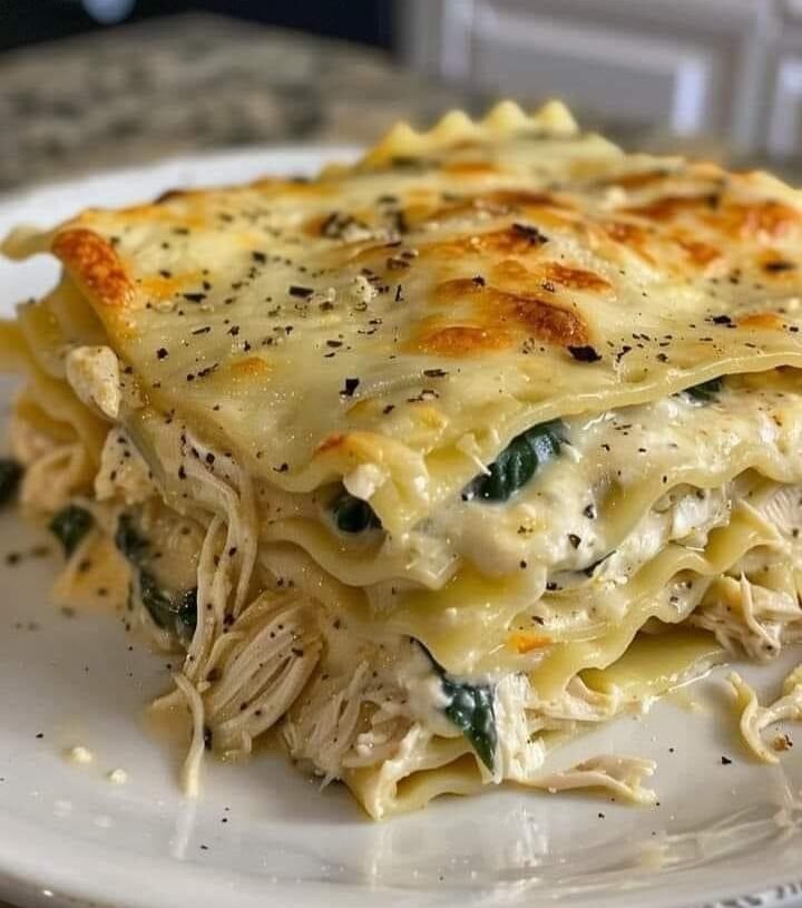 Creamy Chicken Lasagna With White Sauce