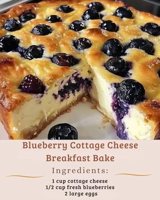 Blueberry Cottage Cheese Breakfast Bake