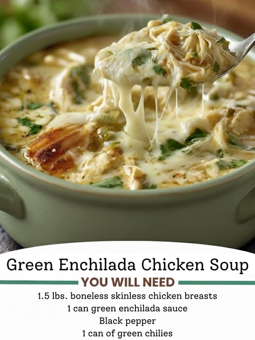🌿 Mediterranean-Style Green Enchilada Chicken Stew