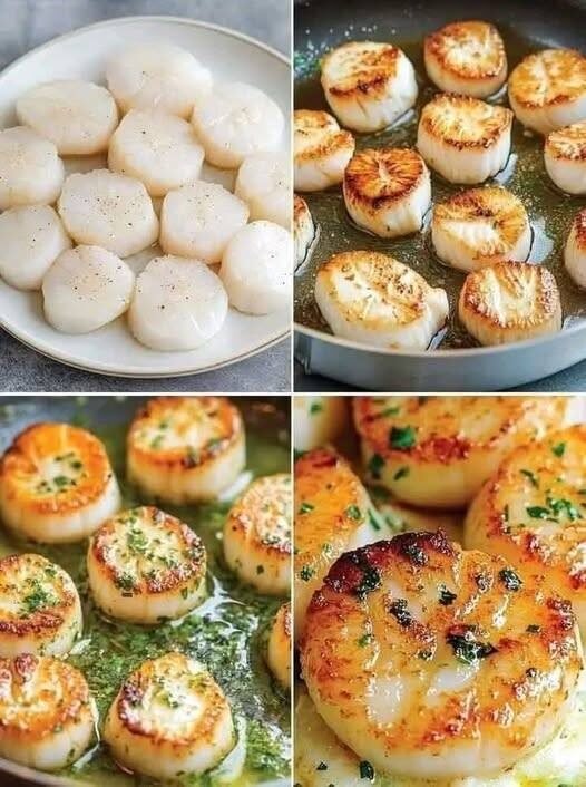 🌊 Mediterranean Golden-Seared Scallops with Lemon, Garlic & Herbs