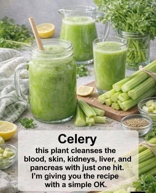 Fresh Celery Green Detox Drink